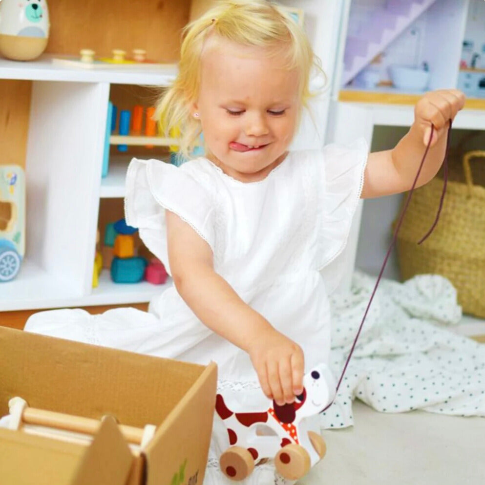 Montessori Toddlers Play Kit 19-24 months