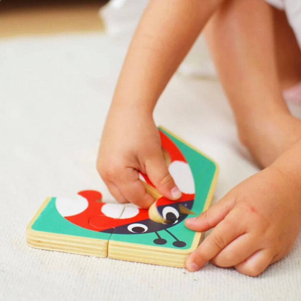 Montessori Toddlers Play Kit 19-24 months