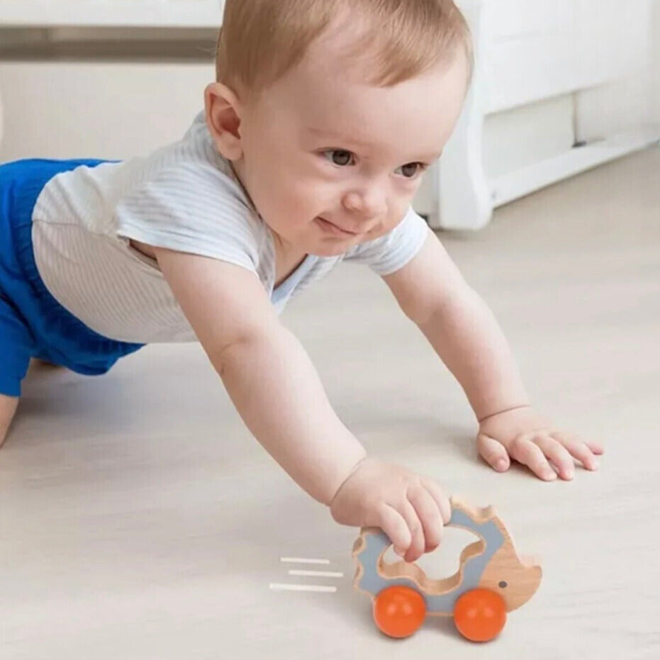 Montessori Toddlers Play Kit 7-12 månader