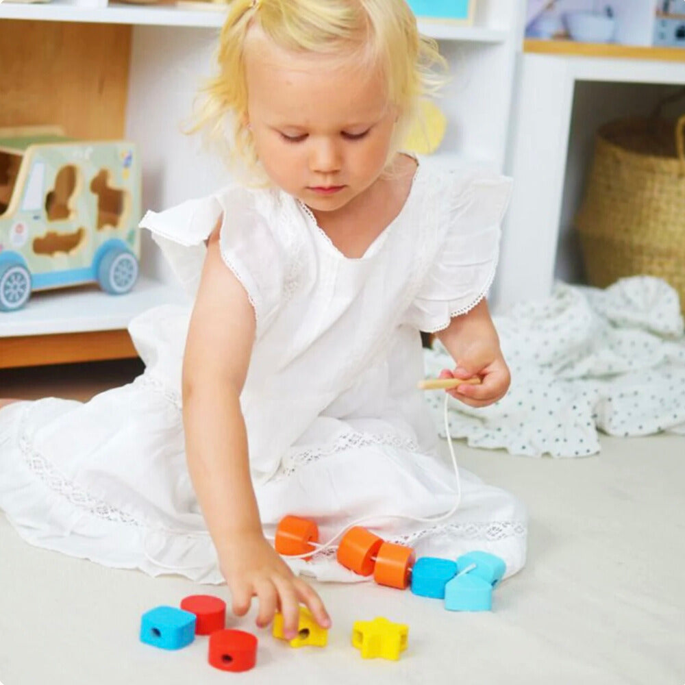 Montessori Toddlers Play Kit 19-24 months